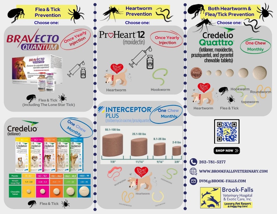 parasite medications