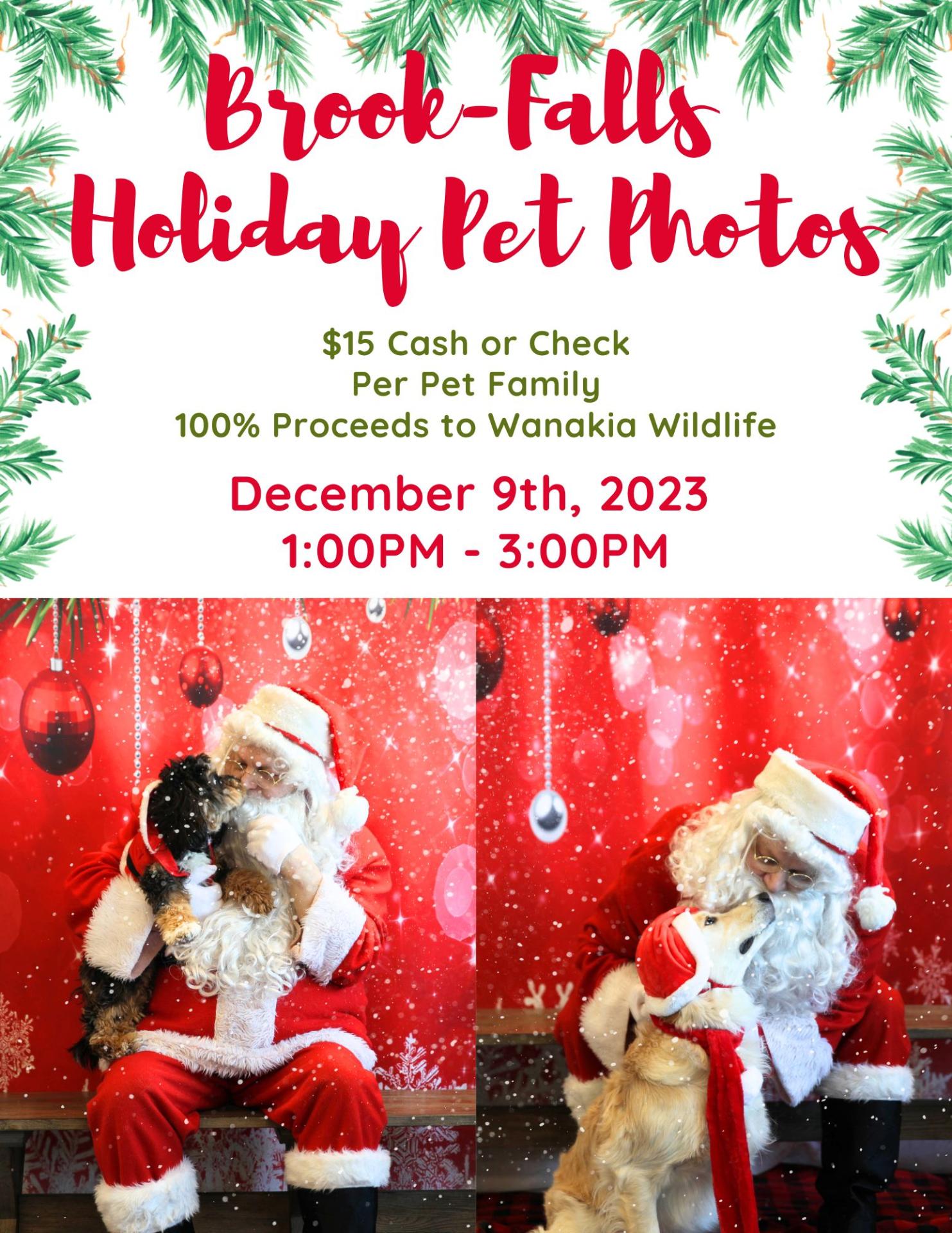 Holiday pet photo flyer 2023