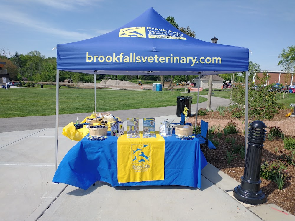 Brook-Falls Booth at Wagfest