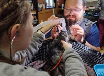 Enhancing Pet Care: Introducing Same-Day Appointments at Brook-Falls Veterinary Hospital &amp; Exotic Care